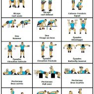 Exercices musculation haltères