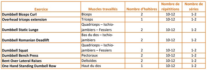 seance de musculation